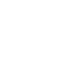 Relm Insurance