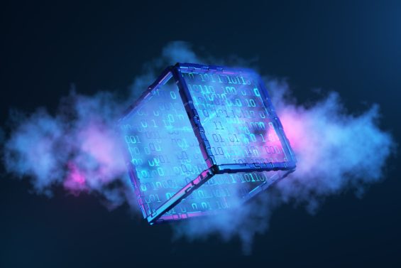 Shutterstock 2274183101